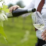 Курортный комплекс Loisium Wine & Лангенлойс