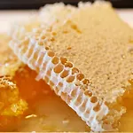 Loisium Wine & 4* Лангенлойс