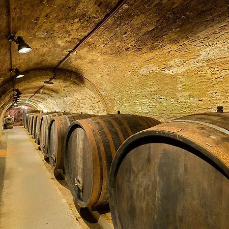 Loisium Wine & 4*
