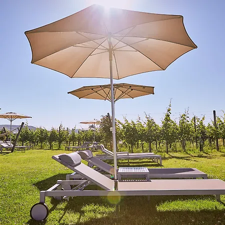 Loisium Wine &