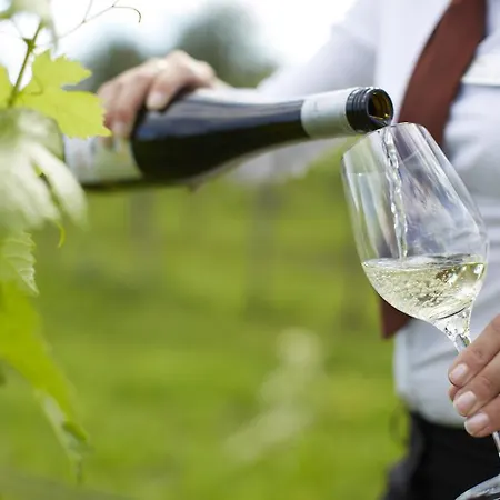 Üdülőközpont Loisium Wine & Langenlois