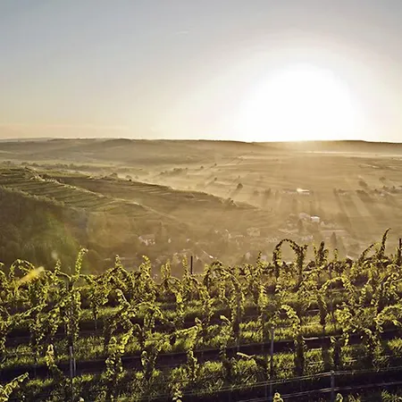 Loisium Wine & 4*