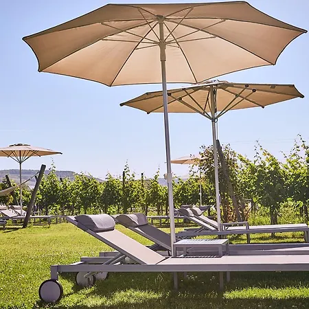 Loisium Wine &