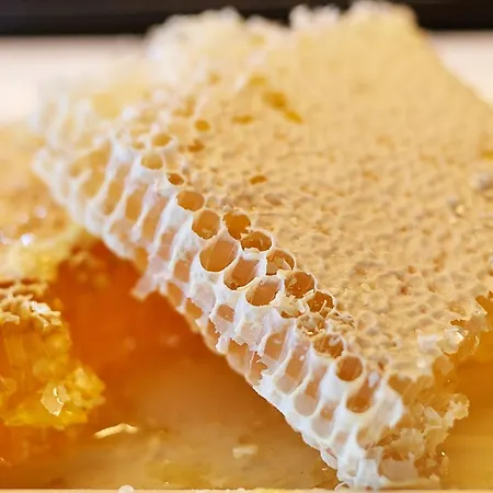 Loisium Wine & 4* Langenlois