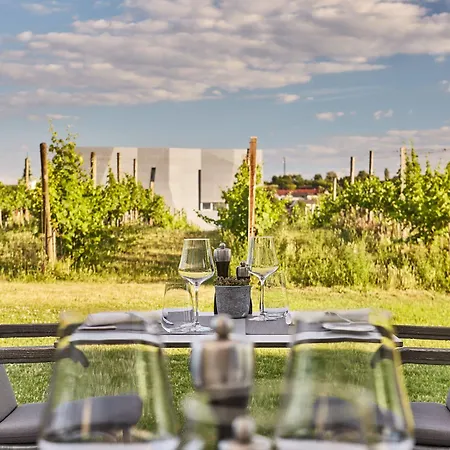 Loisium Wine & Resort 4*