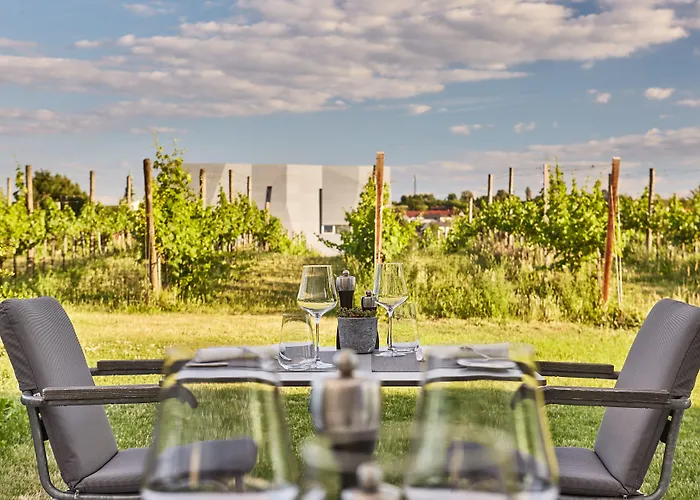 Loisium Wine & Θέρετρο Langenlois