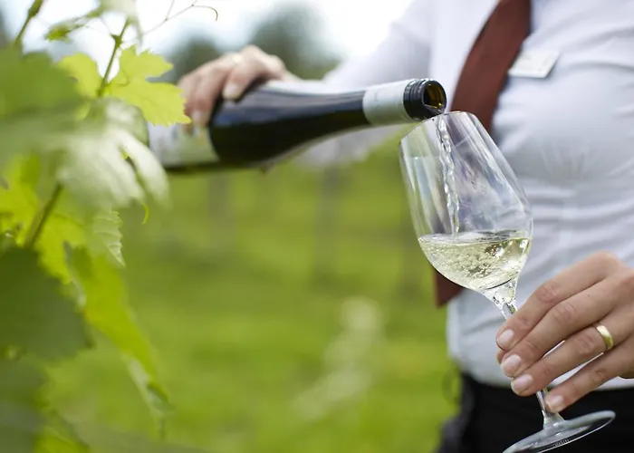 Θέρετρο Loisium Wine & Langenlois