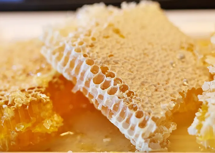 Loisium Wine & 4* Langenlois