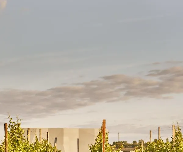 Üdülőközpont Loisium Wine & 4*